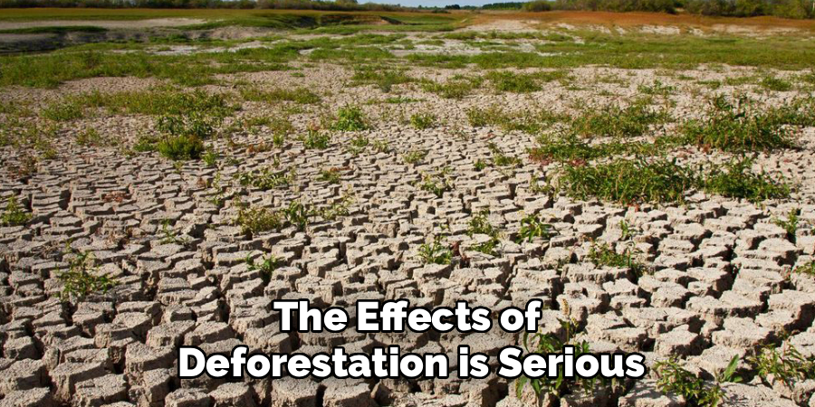 deforestation-paragraph-150-words