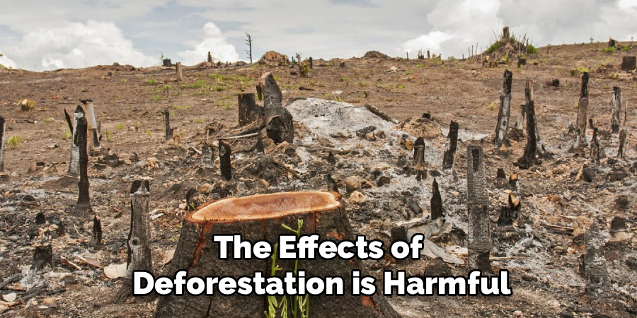 deforestation-paragraph-for-class-9