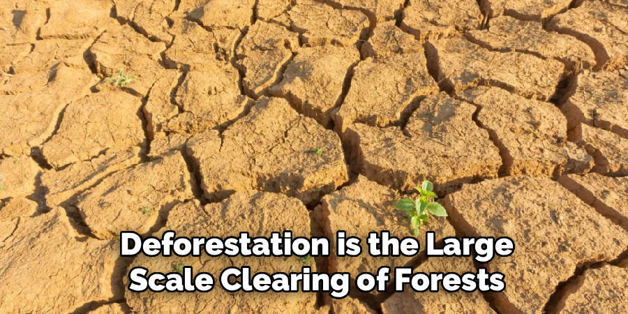 deforestation-paragraph-for-hsc