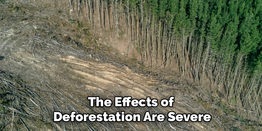 deforestation-paragraph-for-ssc