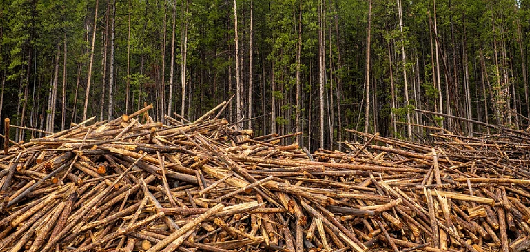 deforestation-paragraph