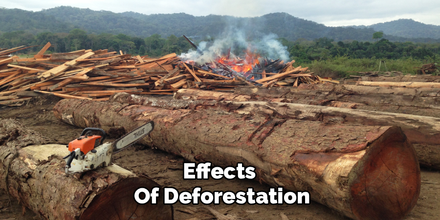 effects-of-deforestation